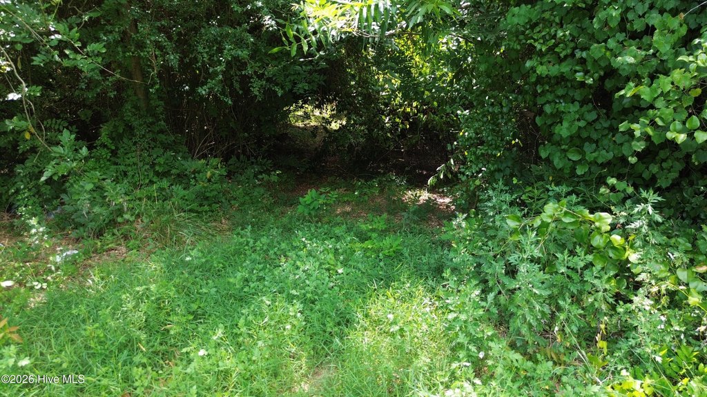 Picture 6
