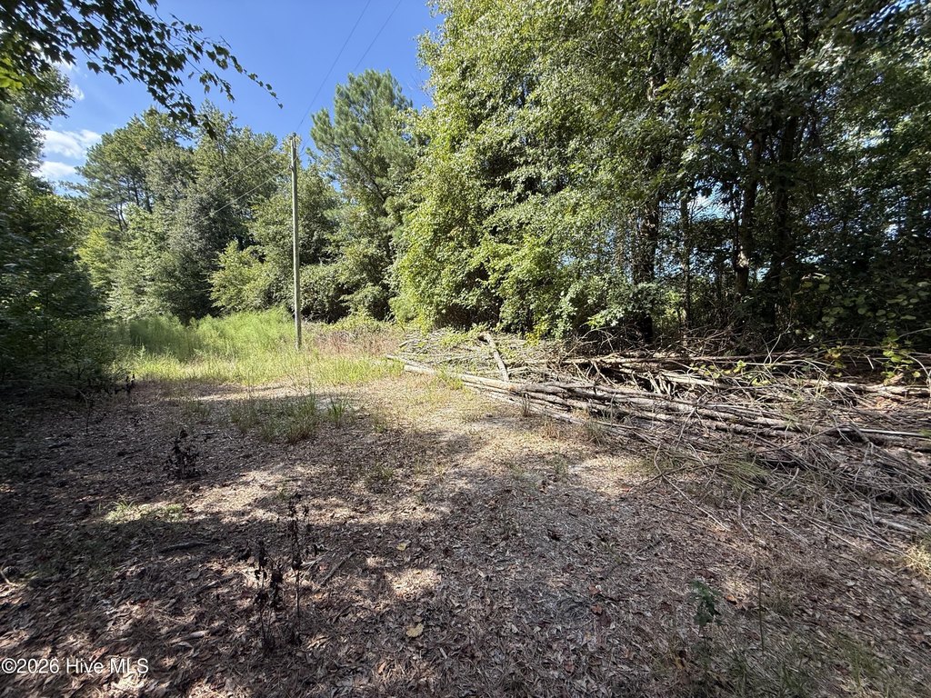 Picture 16