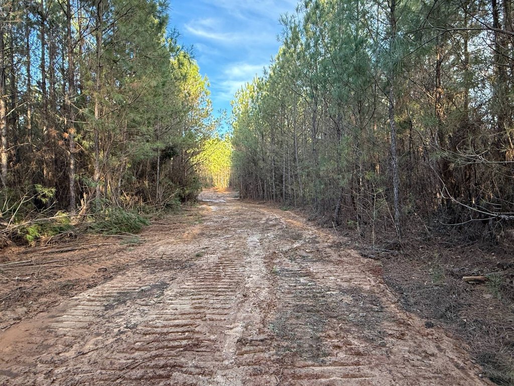 Picture 23