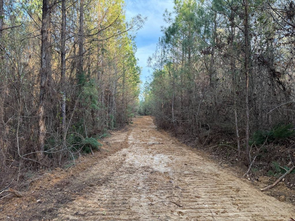 Picture 25