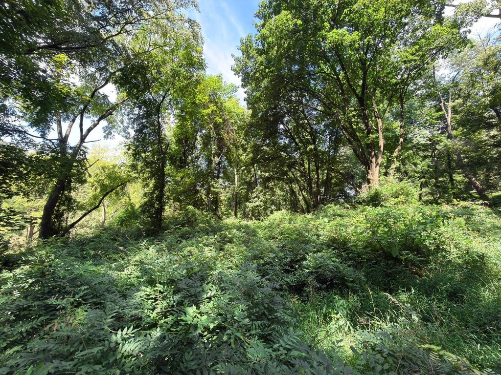 Picture 22