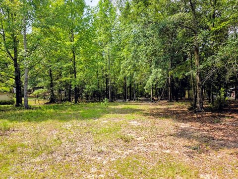 LAND - Georgetown, GA