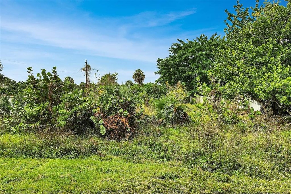 Picture 11