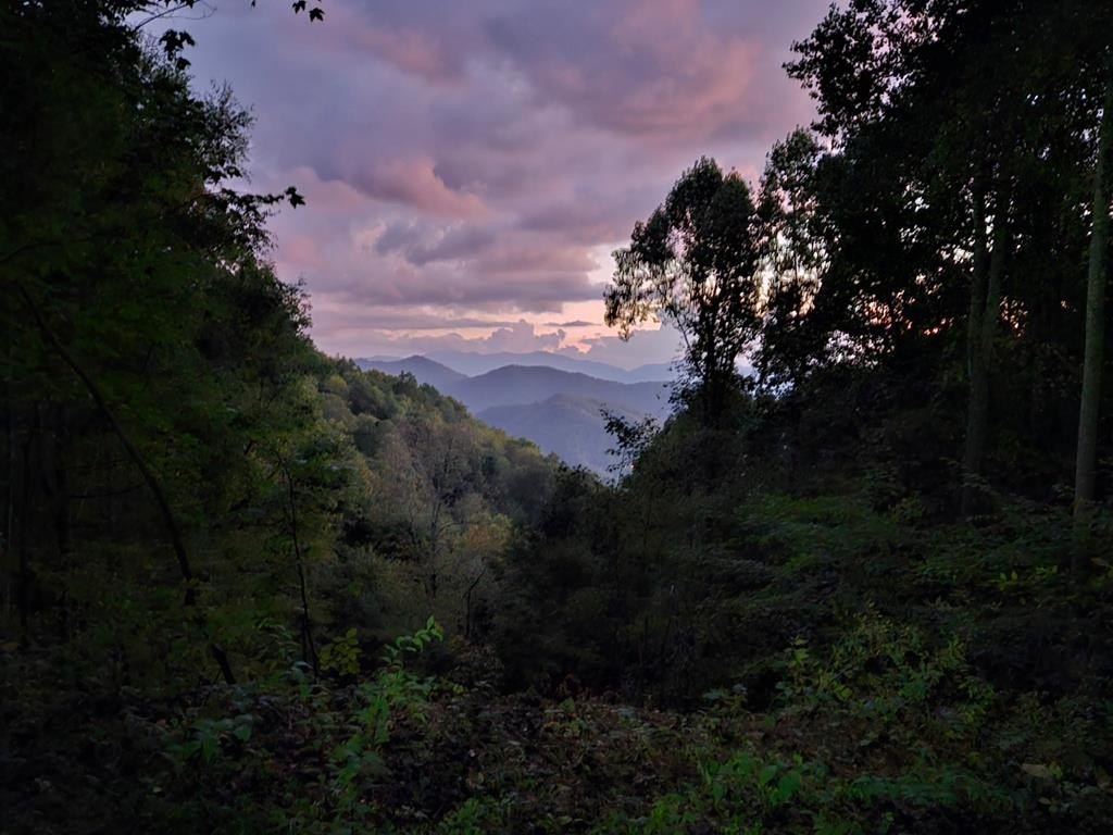 Land with Mountain Views