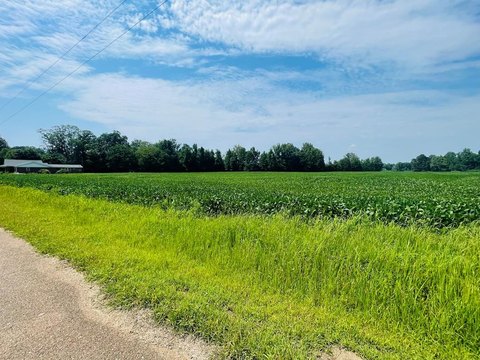 13.89 Acres in Lafayette County