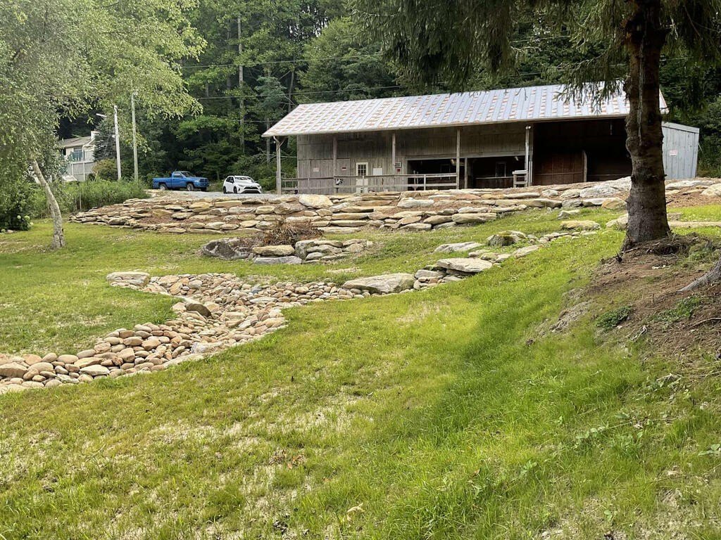 Picture 5