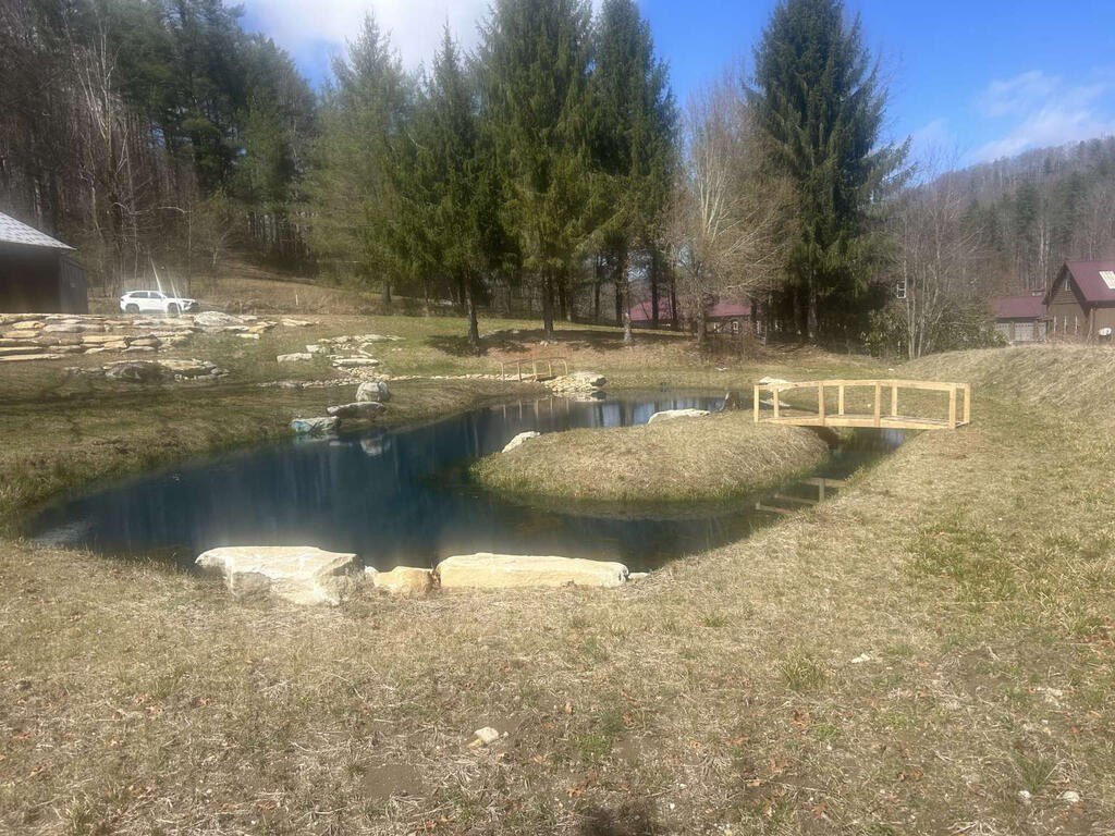 Picture 10