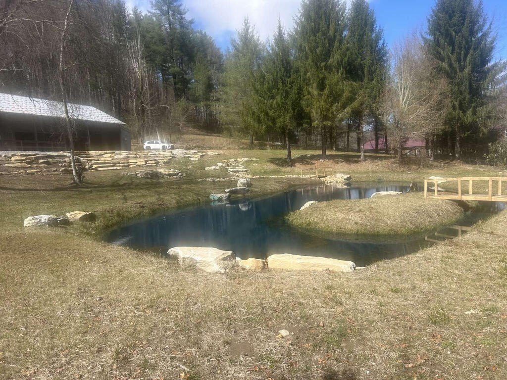 Picture 2