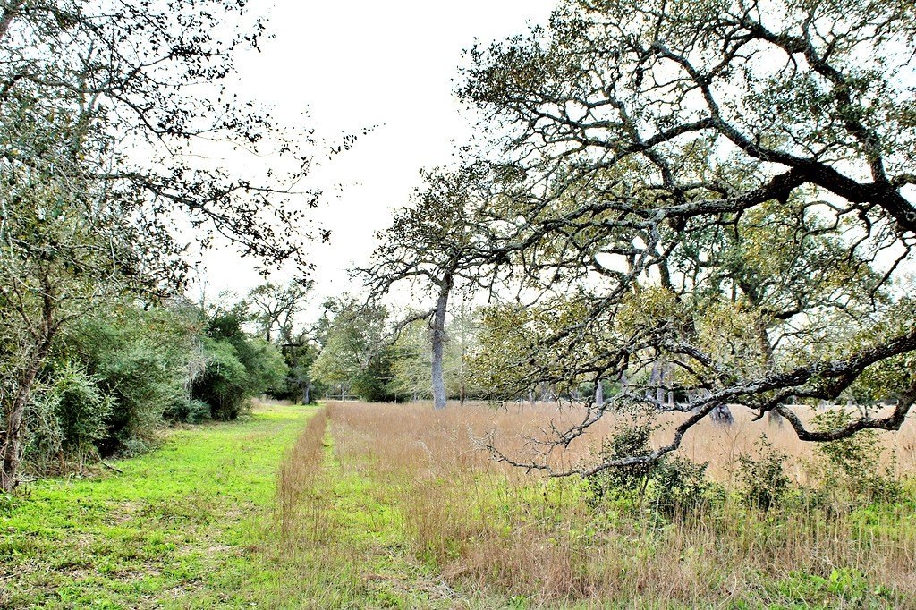 Picture 14