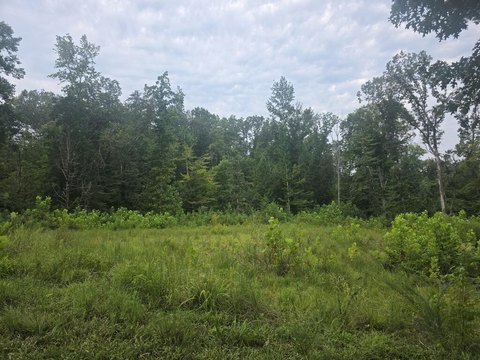 Land, BUCHANAN, TN