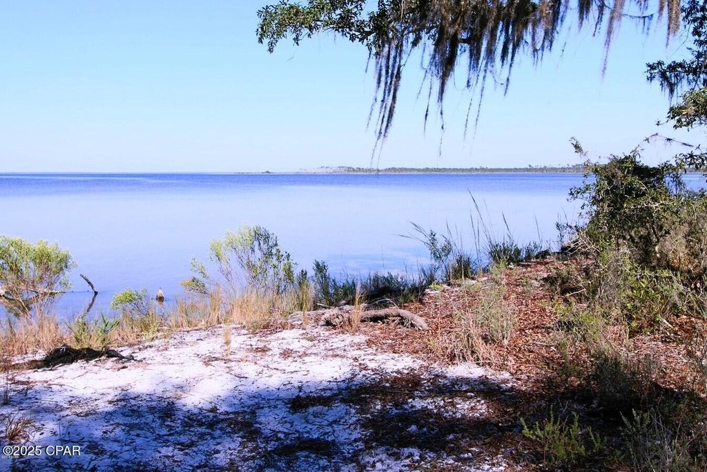 Picture 14