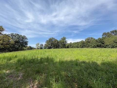 Land, Concordia, MO