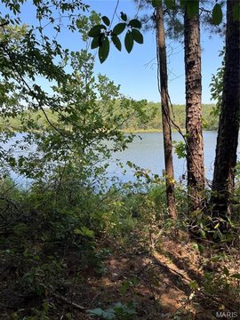 Land For Sale, Lowndes, MO