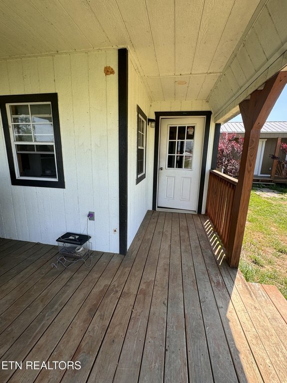 Picture 24