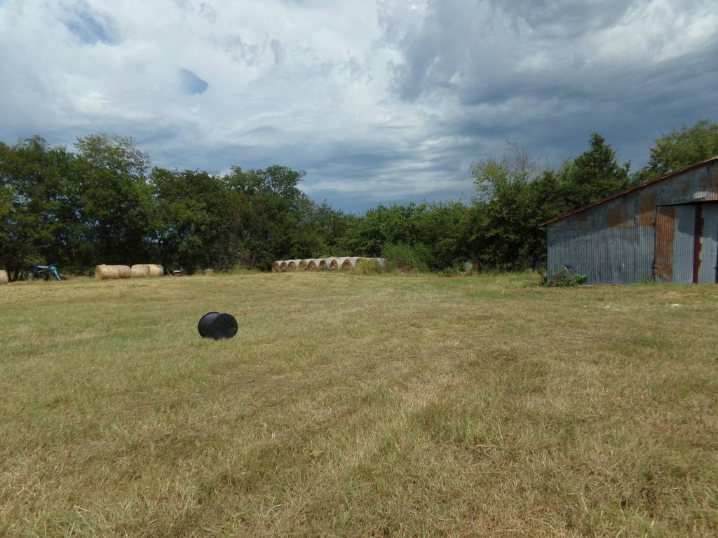 Picture 23