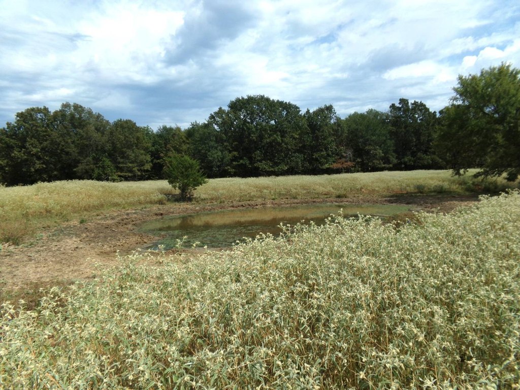 Picture 39