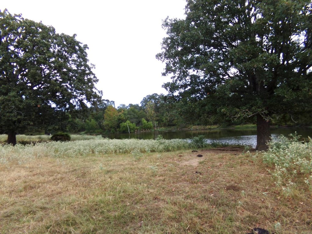 Picture 30