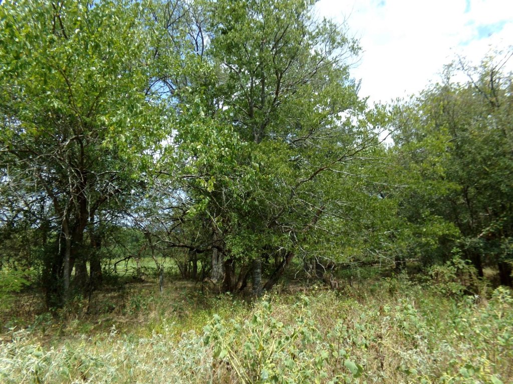 Picture 10