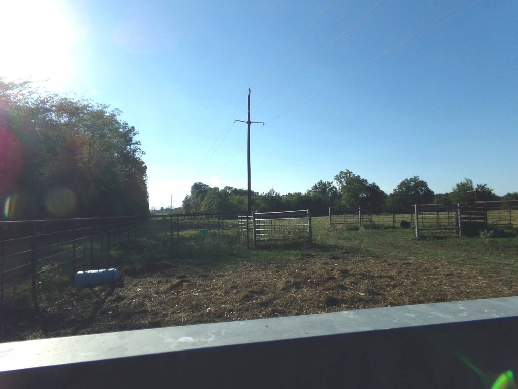 Picture 68