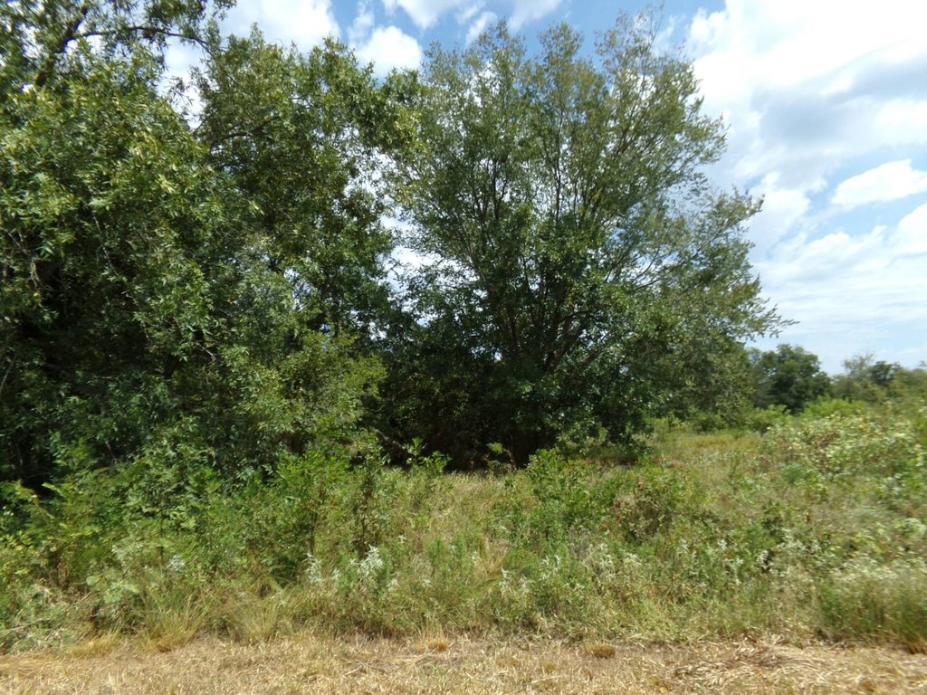 Picture 9