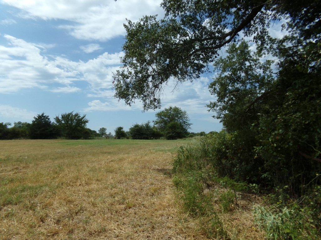 Picture 11