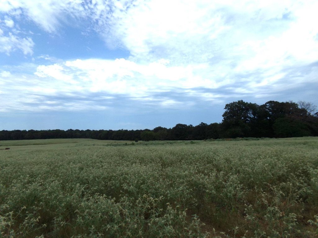 Picture 36