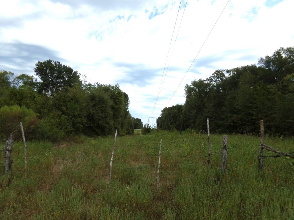 Picture 14