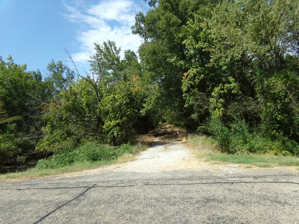 Picture 48