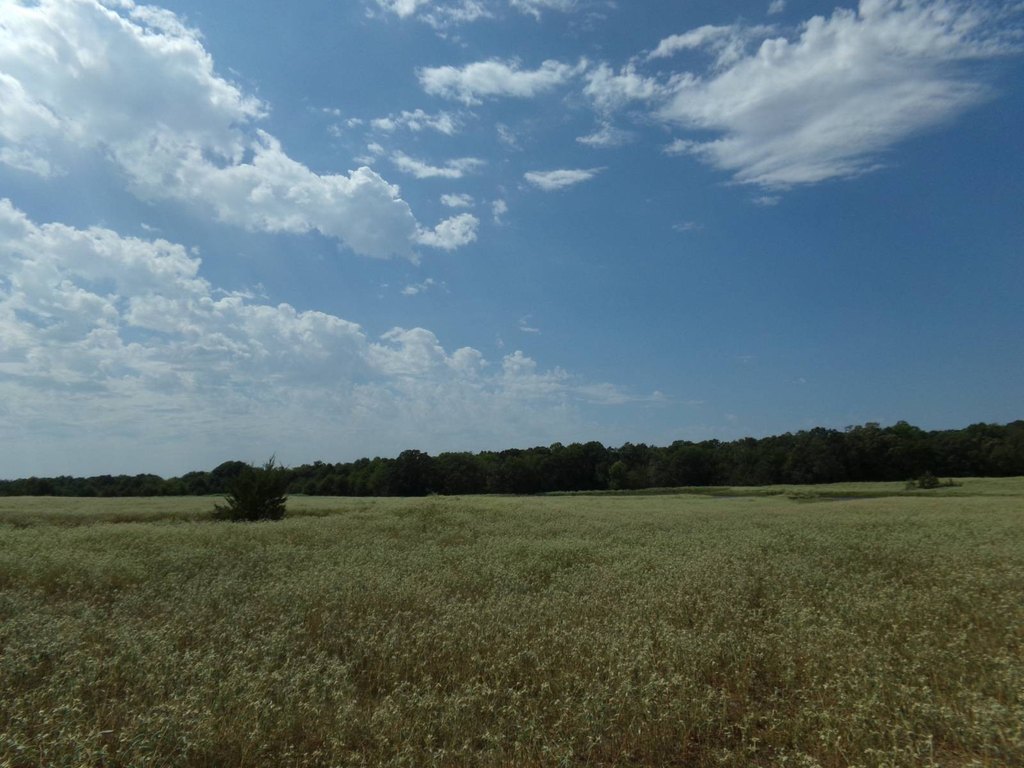 Picture 45