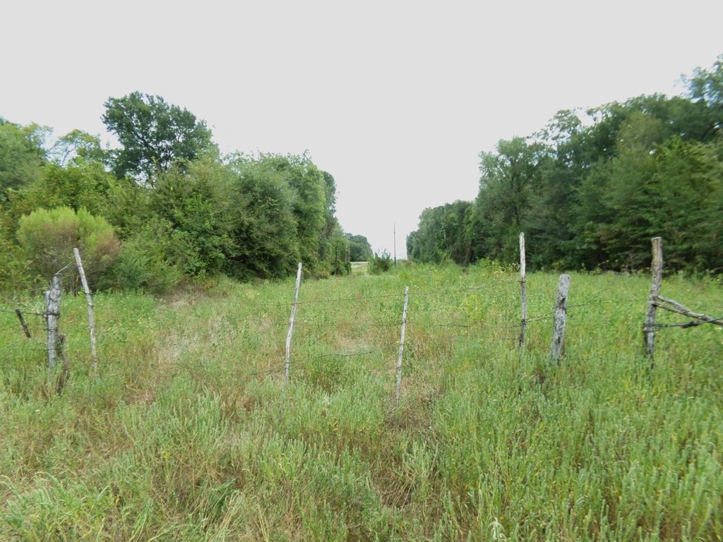 Picture 15