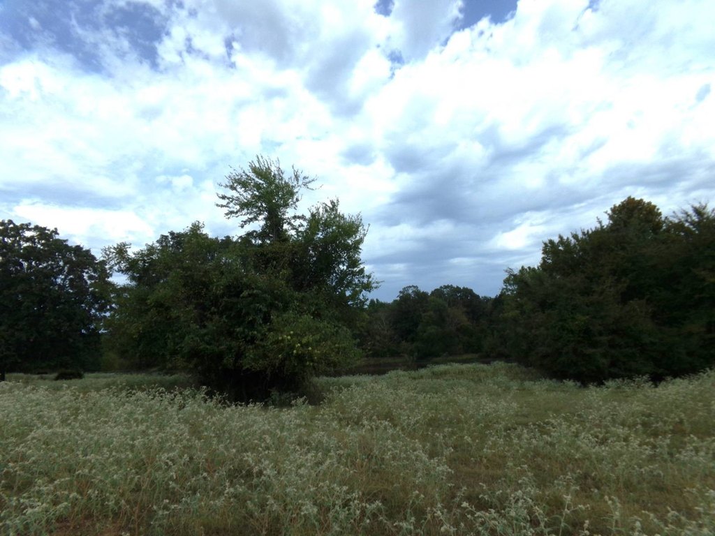 Picture 29