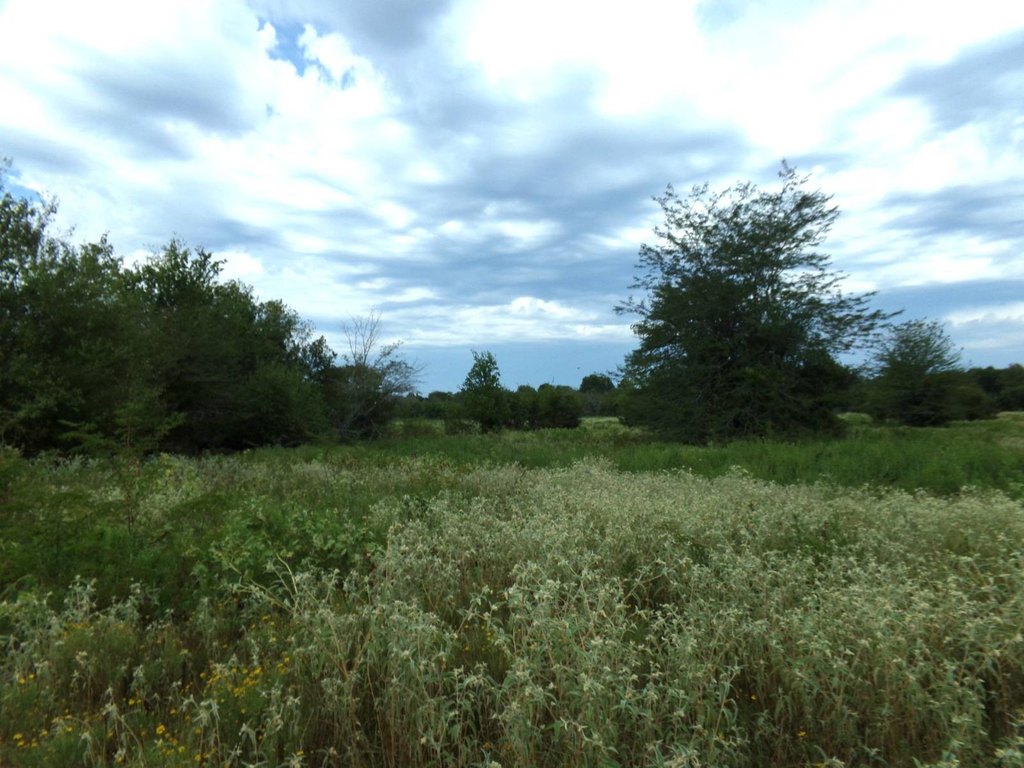 Picture 13