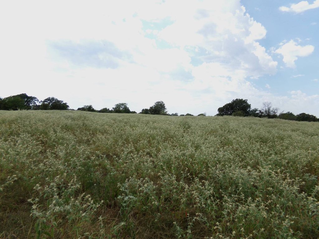 Picture 34