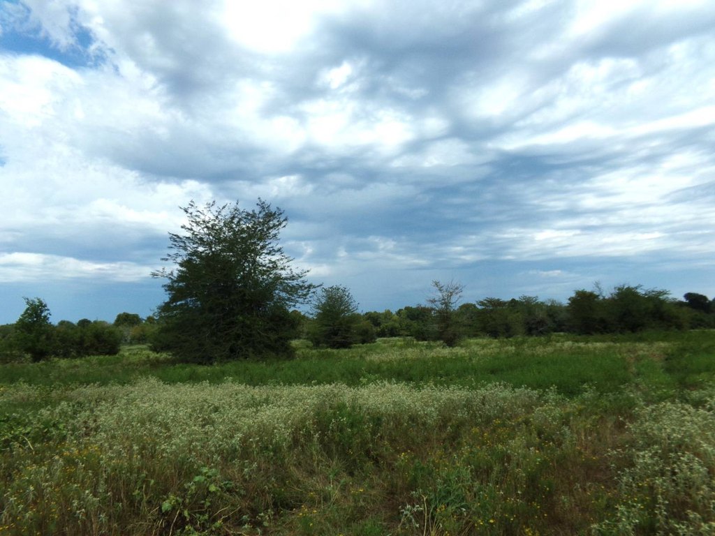 Picture 16