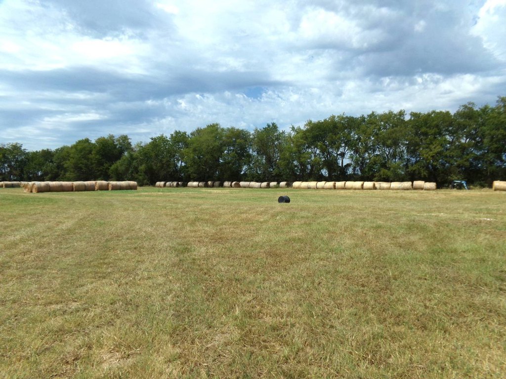 Picture 19