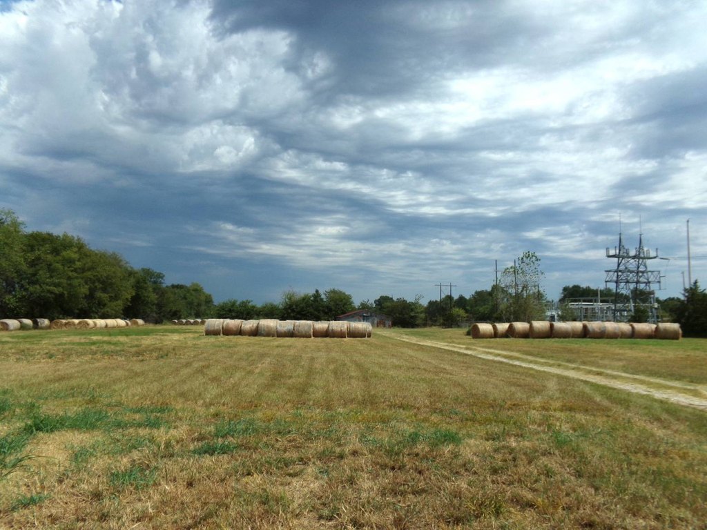 Picture 24