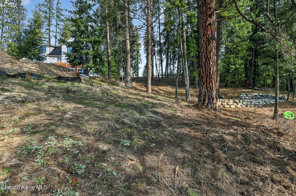 Picture 9