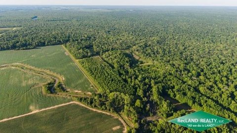 Turnkey Hunting Tract with Camp
