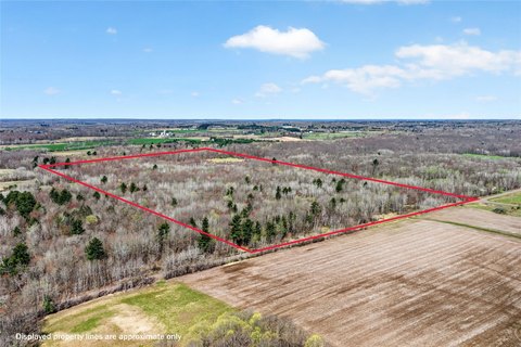 Barronett, WI 80-Acre Land Parcel