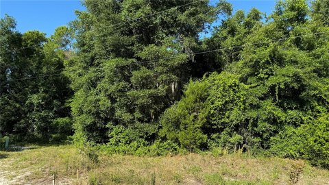 Hunting Land Parcel