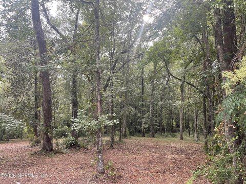 LAND - Middleburg, FL