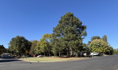 Land, Raleigh, NC