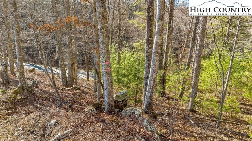 Laurel Springs Land For Sale