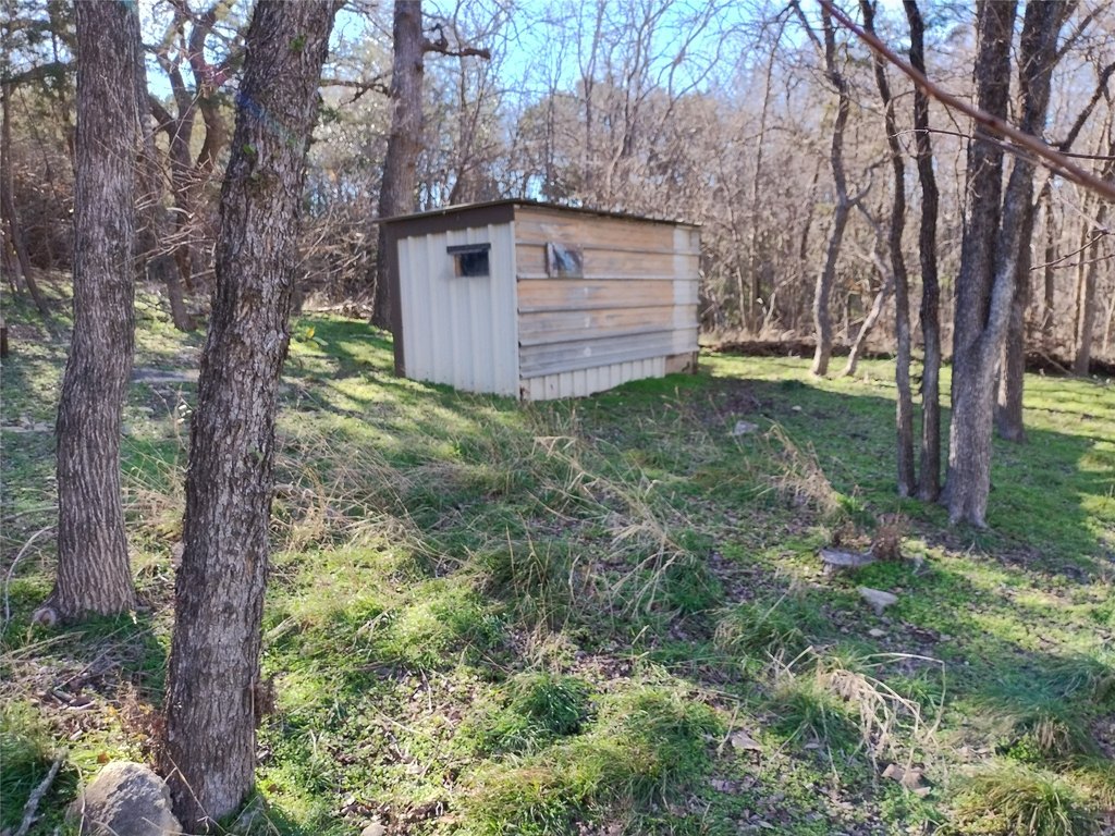 Picture 14