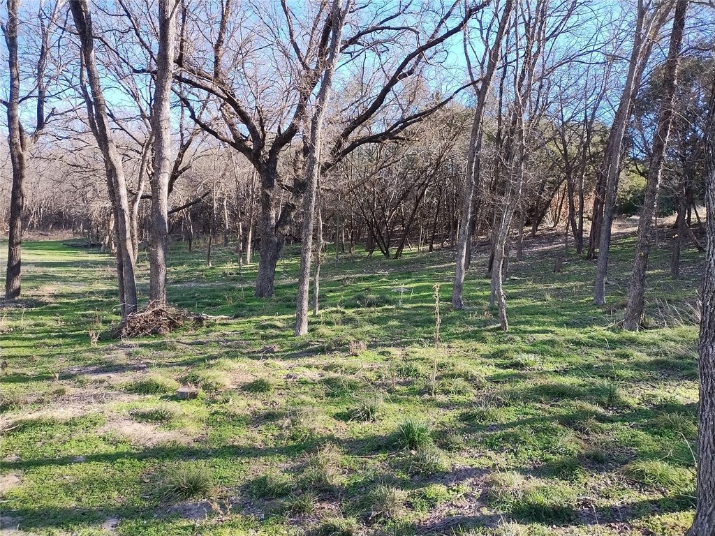 Picture 4