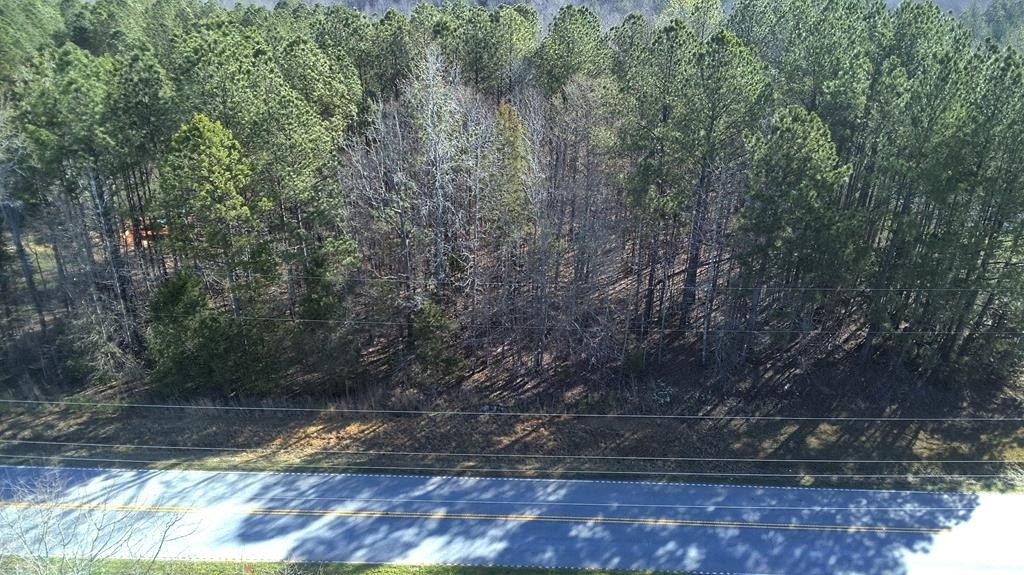 Laurens Land: Wooded 8.36 Acres