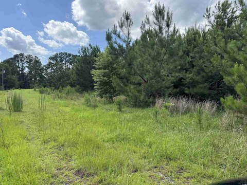 LAND - Loris, SC