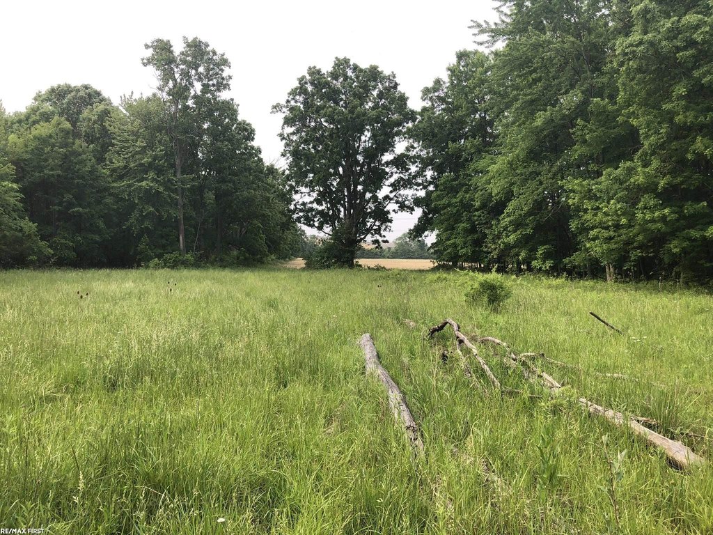 Picture 27