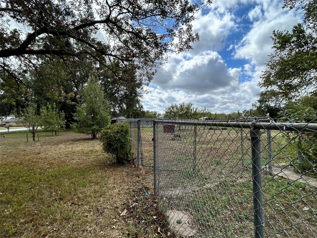Picture 24
