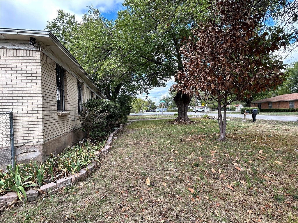 Picture 28